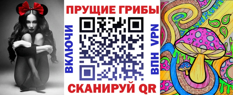 Галлюциногенные грибы мицелий  Нефтекумск 